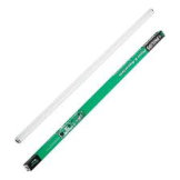 4 feet Florescent